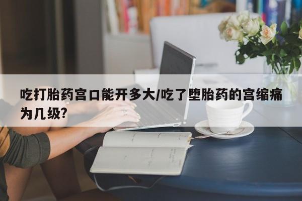 私人卖打胎药的联系方式微信吃打胎药宫口能开多大/吃了堕胎药的宫缩痛为几级?