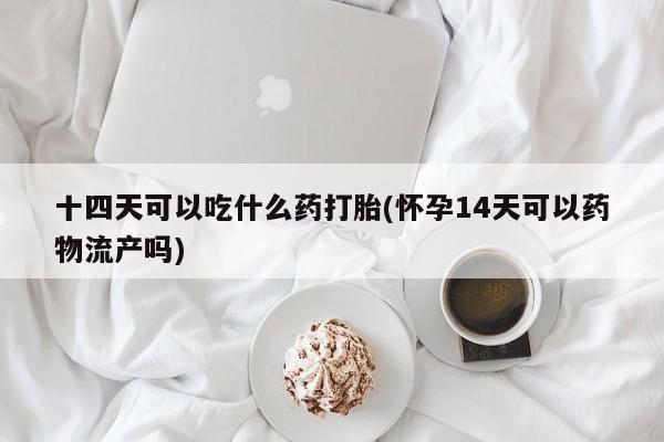 私人卖打胎药的联系方式微信十四天可以吃什么药打胎(怀孕14天可以药物流产吗)